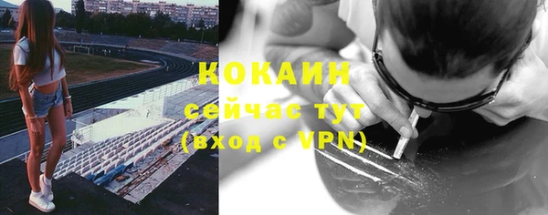 дмт Ростов