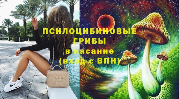трава Абаза