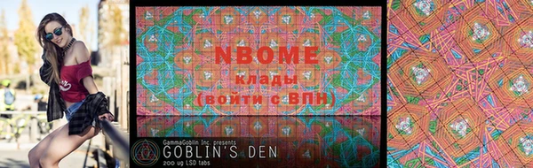дмт Ростов