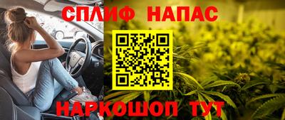 индика Бузулук