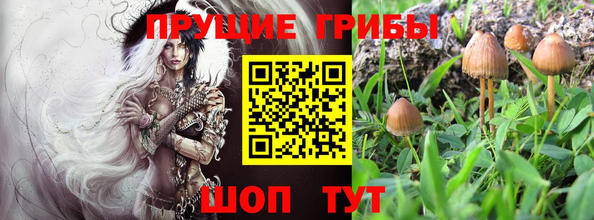 Псилоцибиновые грибы Psilocybine cubensis  Вход с VPN  Гагарин 