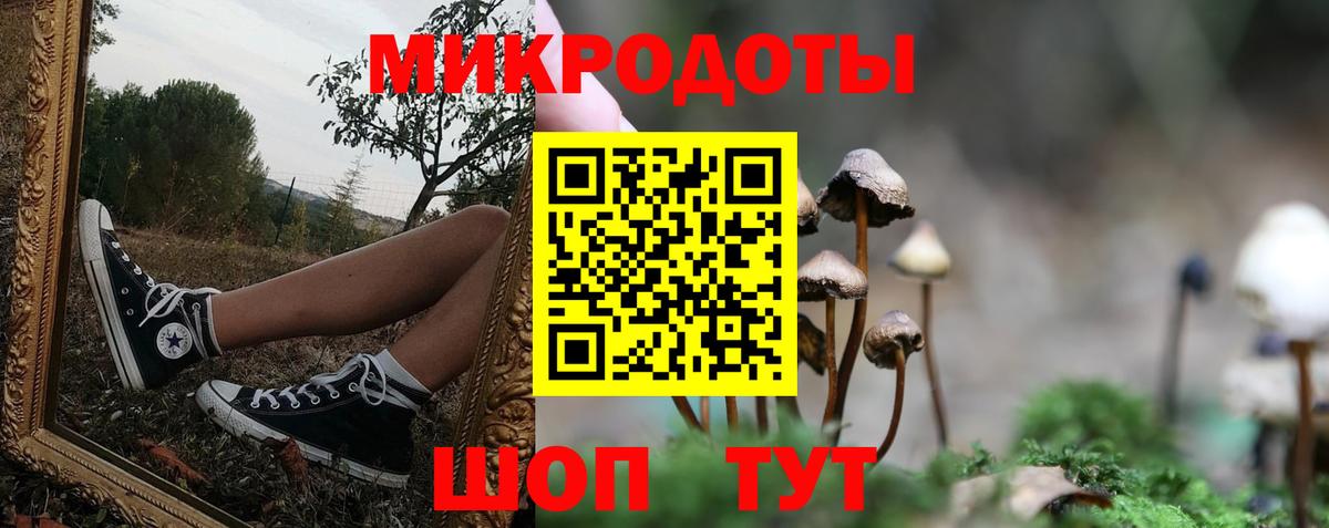 Псилоцибиновые грибы мицелий Гагарин